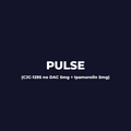 PULSE - WS